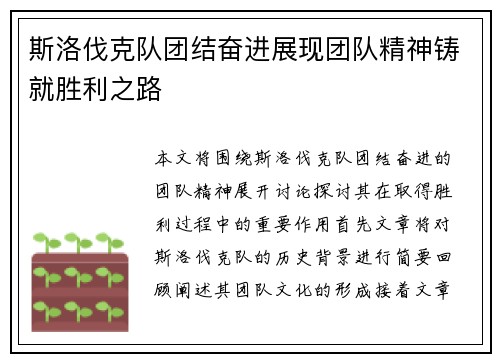 斯洛伐克队团结奋进展现团队精神铸就胜利之路