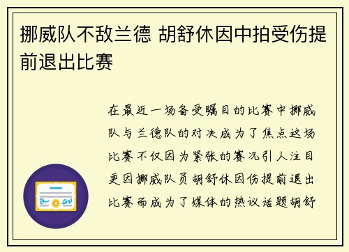 挪威队不敌兰德 胡舒休因中拍受伤提前退出比赛