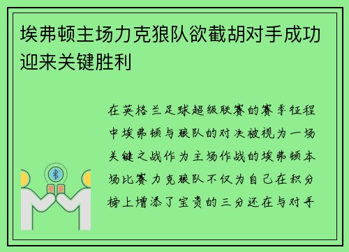 埃弗顿主场力克狼队欲截胡对手成功迎来关键胜利