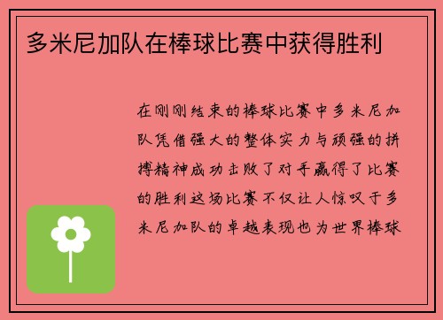 多米尼加队在棒球比赛中获得胜利