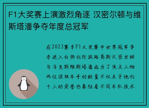 F1大奖赛上演激烈角逐 汉密尔顿与维斯塔潘争夺年度总冠军